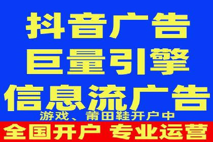 谷歌竞价广告的投放策略与成功案例分析